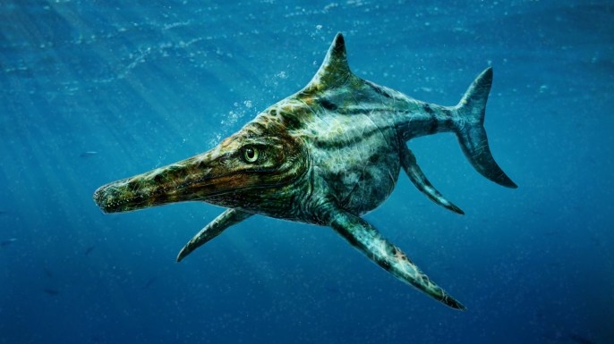 ichthyosaur-site